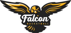 Logo of Falcon Basketball, one of Contractpedia's cusstomers